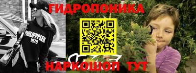 spice Пенза
