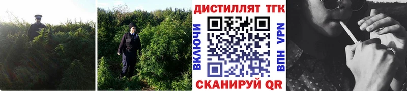 продажа наркотиков  Усолье-Сибирское  Дистиллят ТГК THC oil 