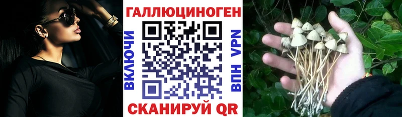 Псилоцибиновые грибы мицелий  хочу наркоту  Усолье-Сибирское 