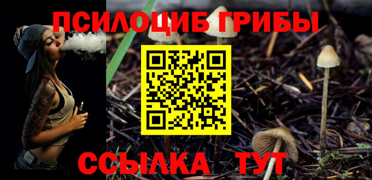 Усолье-Сибирское  Галлюциногенные грибы мицелий  Вход с VPN  Галлюциногенные грибы Psilocybine cubensis 