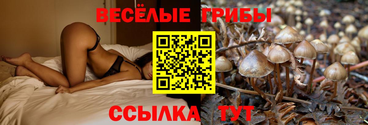 Псилоцибиновые грибы Magic Shrooms Усолье-Сибирское